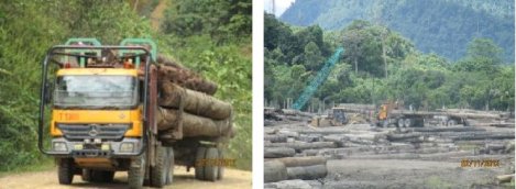 Logging activity in the Upper Baram region of Sarawak